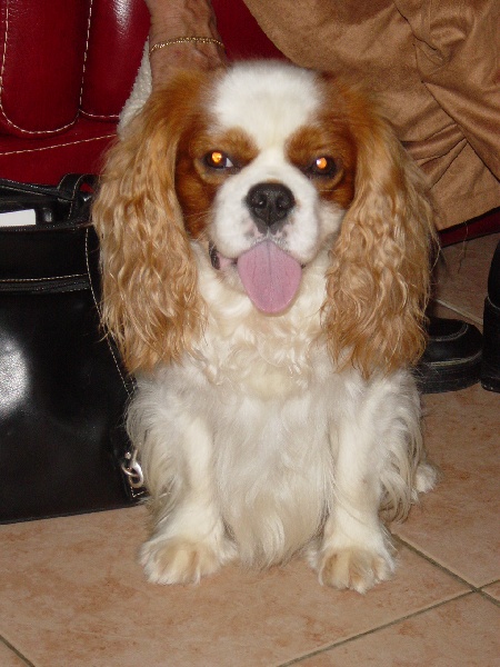 Publication : Des fripouilles du moulin