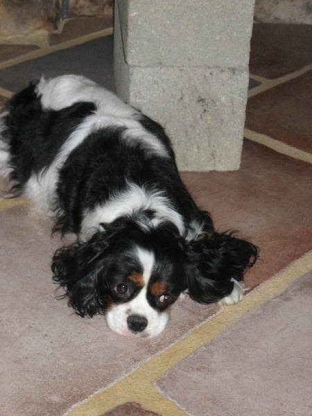 Publication : Des fripouilles du moulin