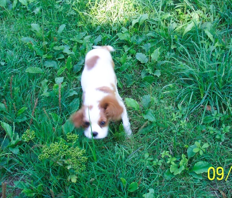 Publication : Des fripouilles du moulin