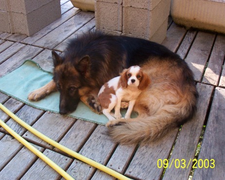 Publication : Des fripouilles du moulin