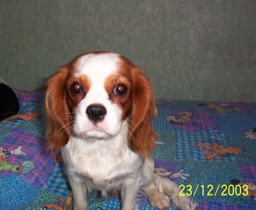 Publication : Des fripouilles du moulin