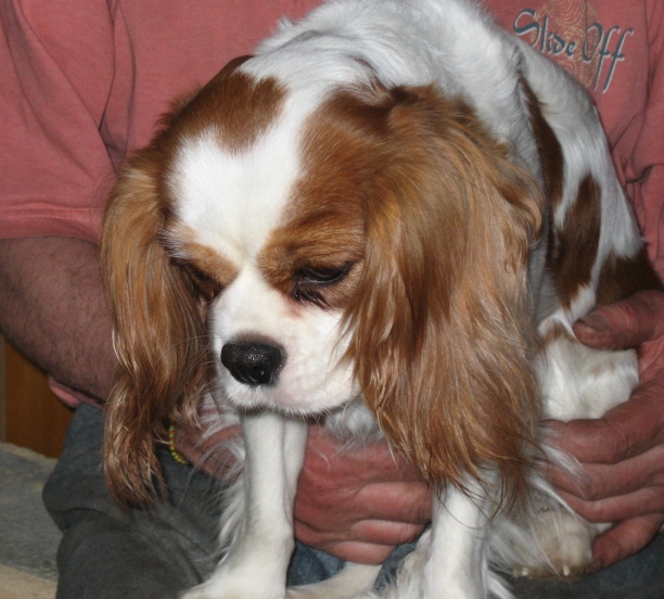 Publication : Des fripouilles du moulin