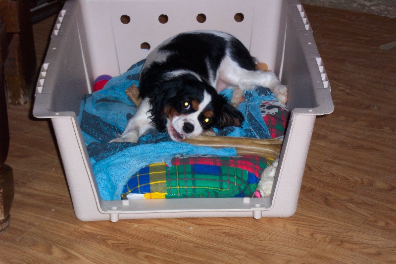 Publication : Des fripouilles du moulin