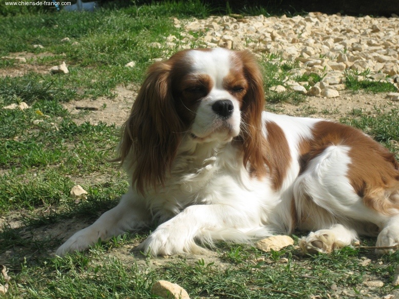 Urane dite ubaye De la magie d'orient - 3ème EXCELLENT