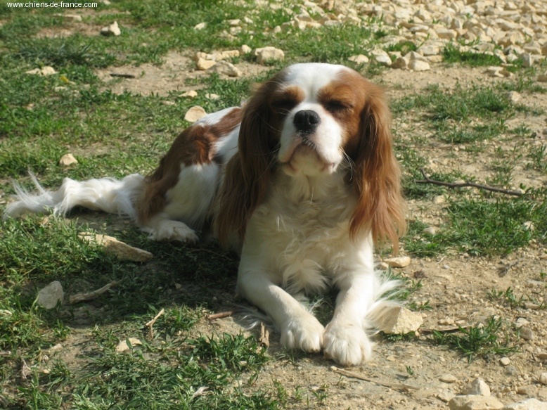 Urane dite ubaye De la magie d'orient - 2ème EXCELLENT