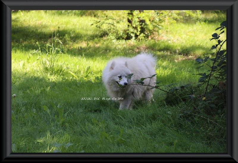 Publication : Des guerriers chippewas