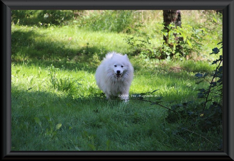 Publication : Des guerriers chippewas