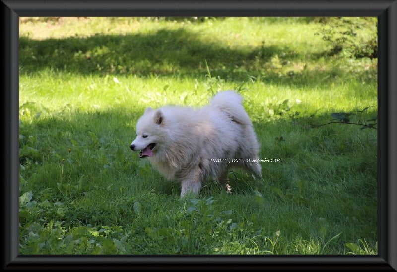 Publication : Des guerriers chippewas