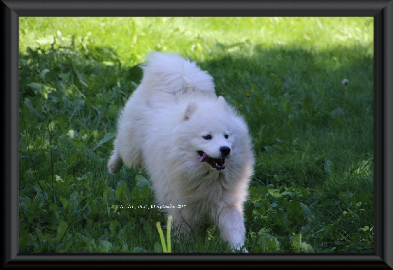 Publication : Des guerriers chippewas