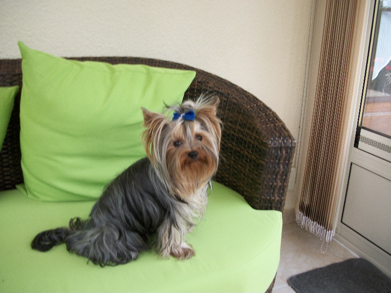 Publication : du Ly's D'Eden