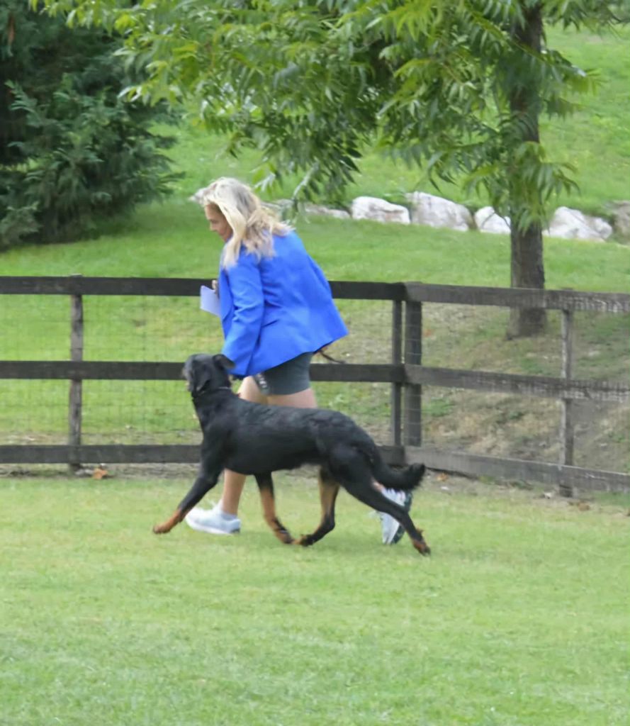 Publication : De sainte petronille Auteur : christine gerbac