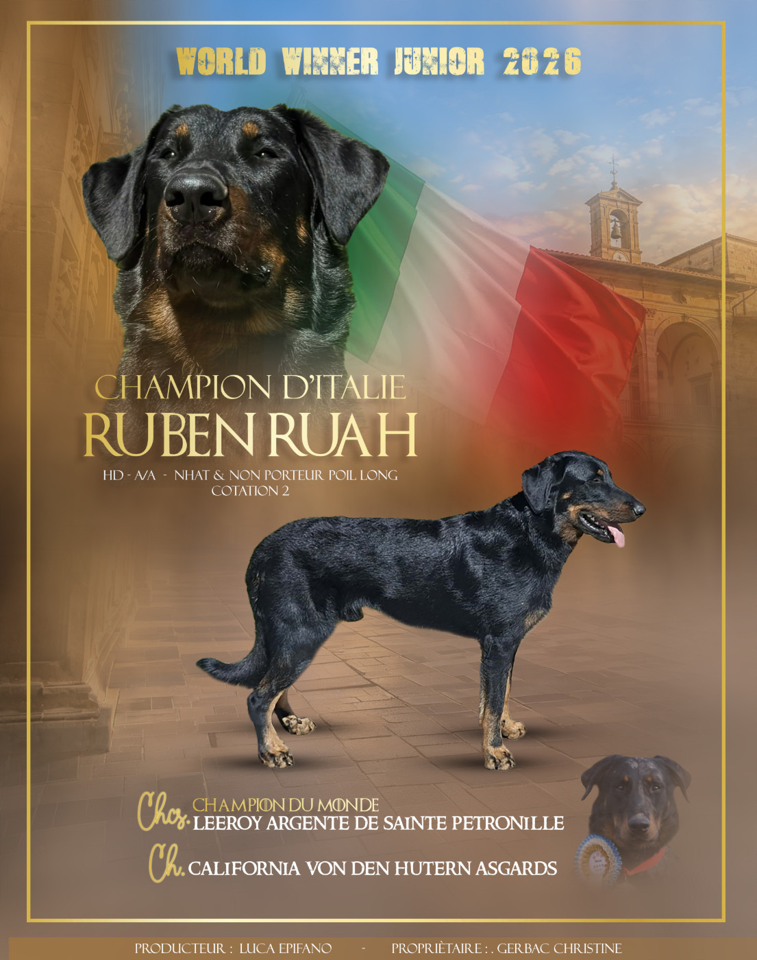 CH. ITALIE V'Ketsia dite kayla ruah De sainte petronille - 1ere excellente CAC BOS BEST OF SEX MEILLEURE FEMELLE