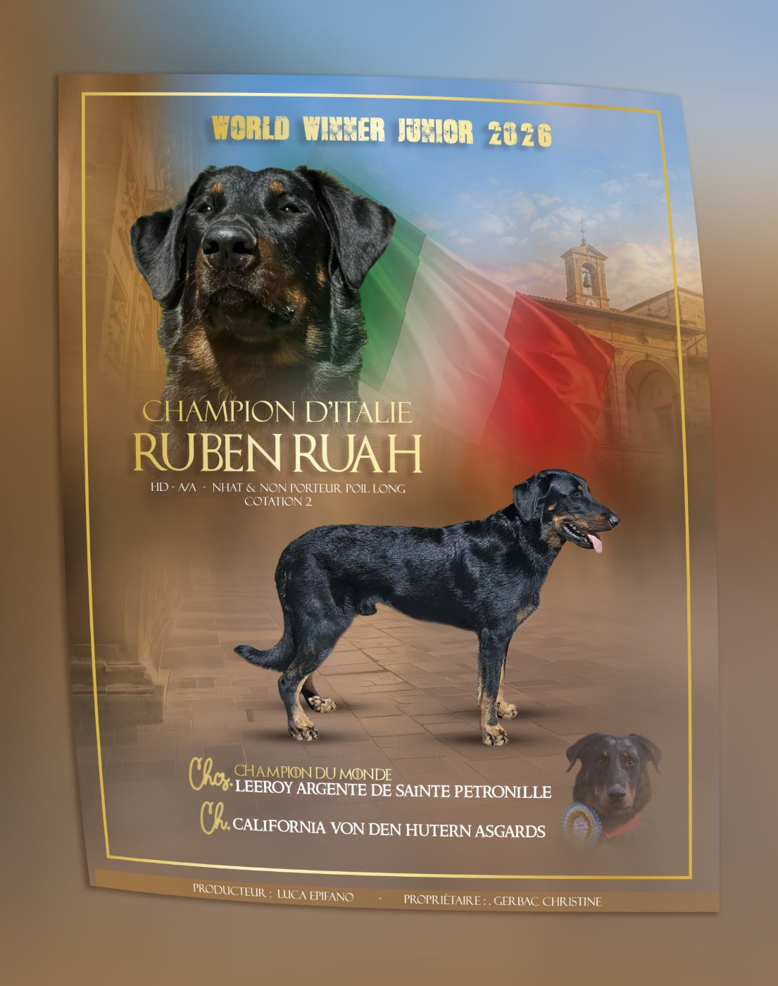 CH. CH J SAN MARINO RUBEN RUAH (Sans Affixe) - 1ER EXCELLENT CACJ CACIB J MEILLEUR JEUNE WORLD WINNER JUNIOR