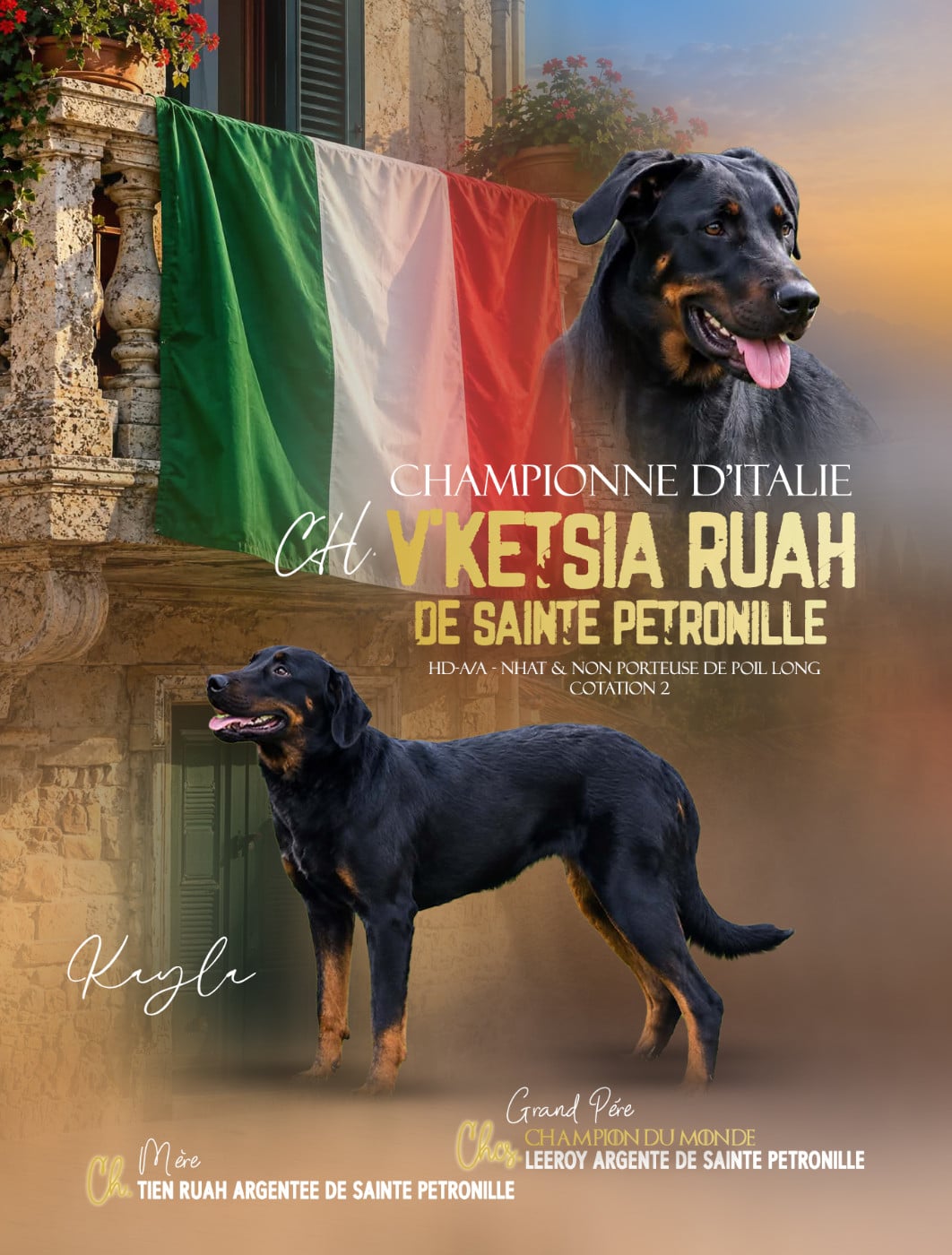 CH. ITALIE V'Ketsia dite kayla ruah De sainte petronille - 1ERE EXCELLENTE CAC EN CLASSE INTERMEDIAIRE