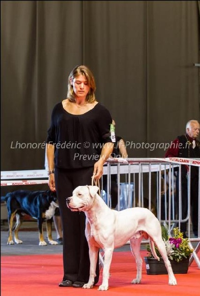 Publication : (Sans Affixe) Auteur : Melle Audrey Martin