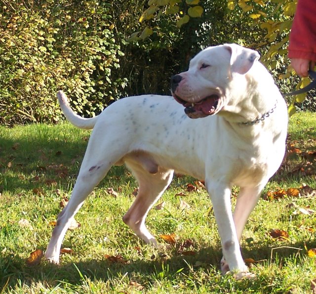 Publication : (Sans Affixe) Auteur : Melle Pollosse Nadège