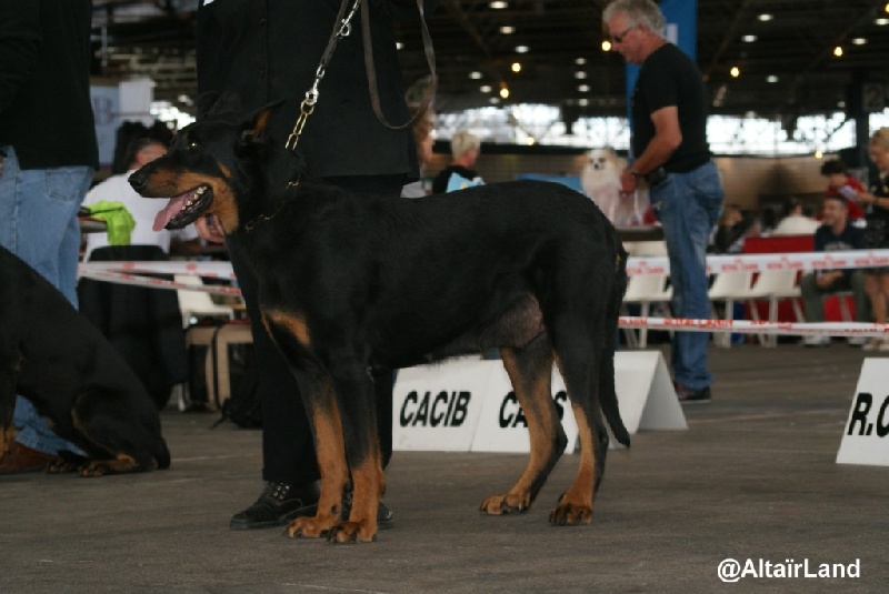 Ungie des Gaillards des Terres Froides - 2EME EXCELLENT