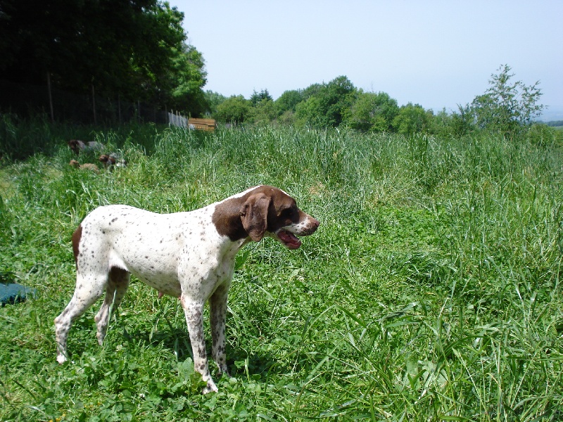 Publication : De la storia