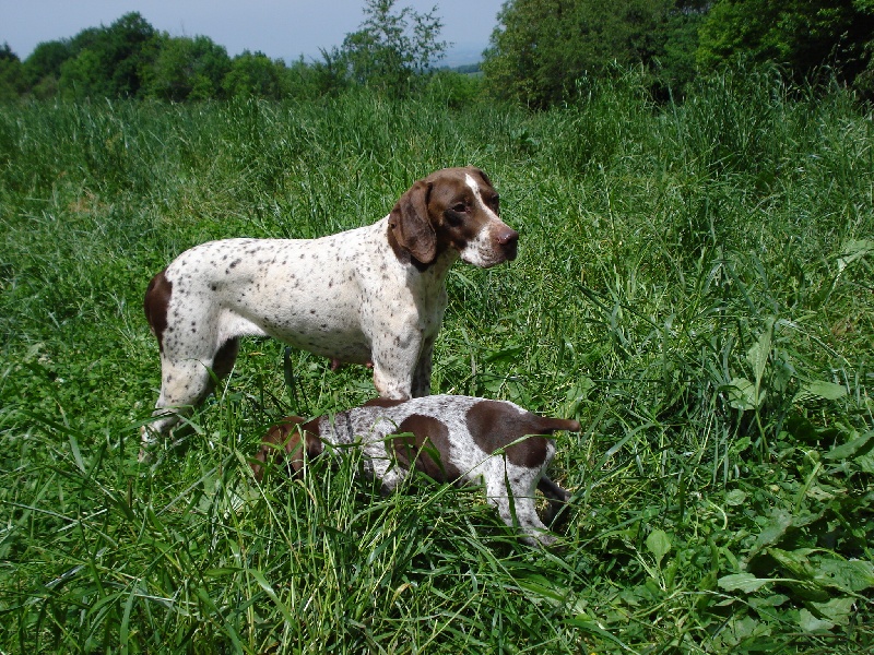 Publication : De la storia