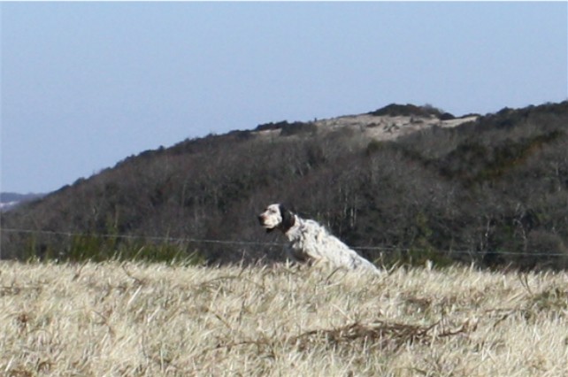 Publication : du Milobre de Bouisse Auteur : Milobre de Bouisse