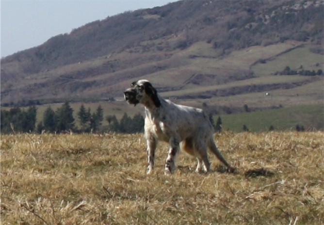 Publication : du Milobre de Bouisse Auteur : Milobre de Bouisse