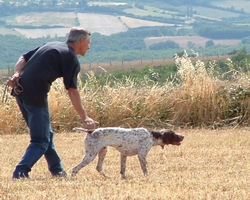Publication : du Milobre de Bouisse Auteur : Milobre de Bouisse
