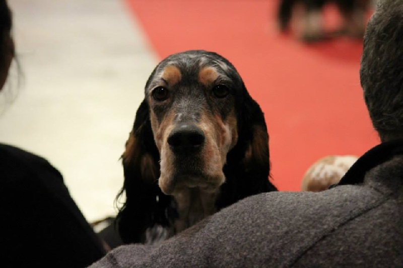 Publication : du Milobre de Bouisse Auteur : Milobre de Bouisse