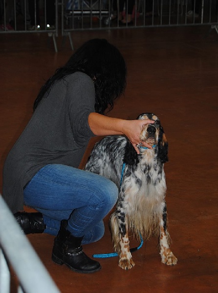 Publication : du Milobre de Bouisse Auteur : Milobre de Bouisse