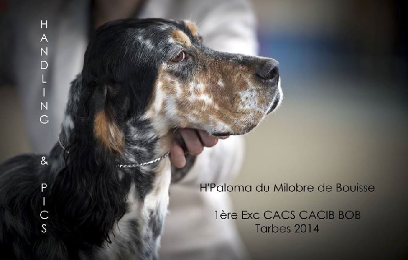 Publication : du Milobre de Bouisse Auteur : Milobre de Bouisse