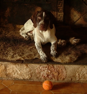 Publication : du Milobre de Bouisse Auteur : Milobre de Bouisse