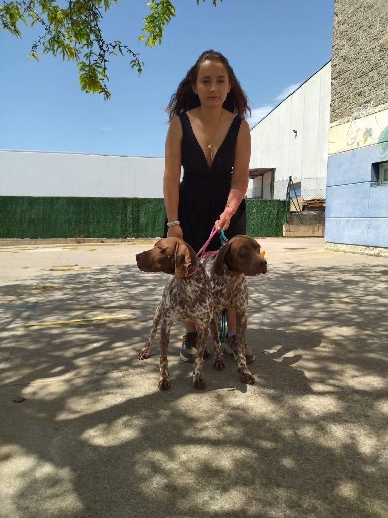 TR. CH. Nirvana du Milobre de Bouisse - 1er EXC CACS CACIB MSO