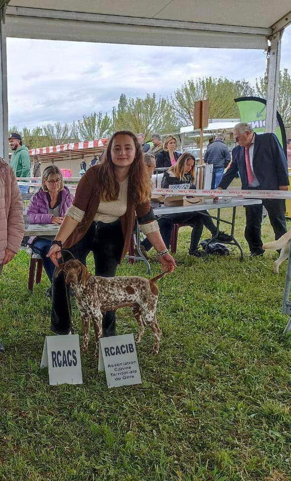 TR. CH. Nirvana du Milobre de Bouisse - 1er EXC RCACS RCACIB