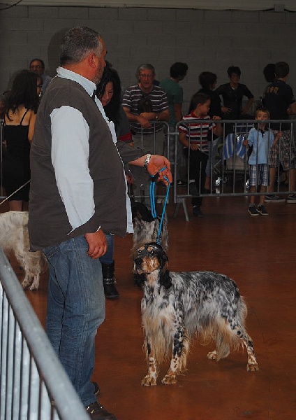 H'paloma du Milobre de Bouisse - 1 EXC CACS