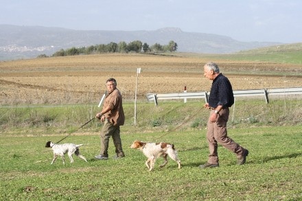 TR. CH. D'mabby du Milobre de Bouisse - 2eme EXC RCACT
