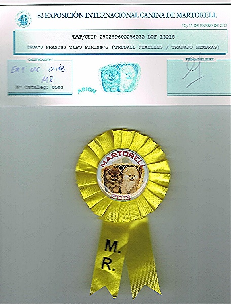 TR. CH. D'mabby du Milobre de Bouisse - 1 er EXC CACS CACIB Meilleur de Race