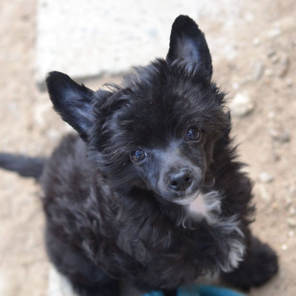 Publication : Wild Night's Auteur : Wild Night's