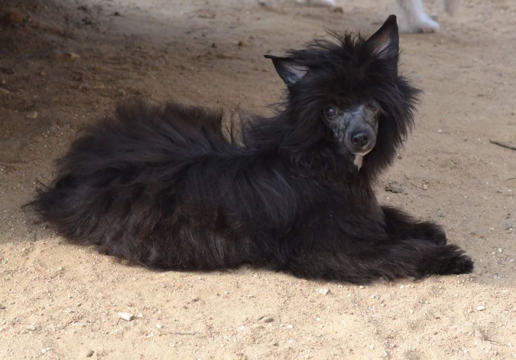 Publication : Wild Night's Auteur : Wild Night's