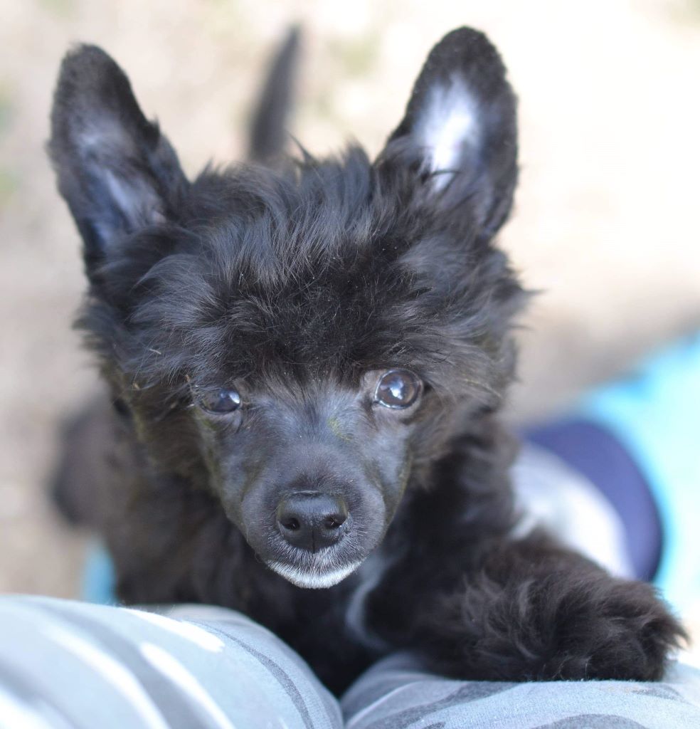 Publication : Wild Night's Auteur : Wild Night's