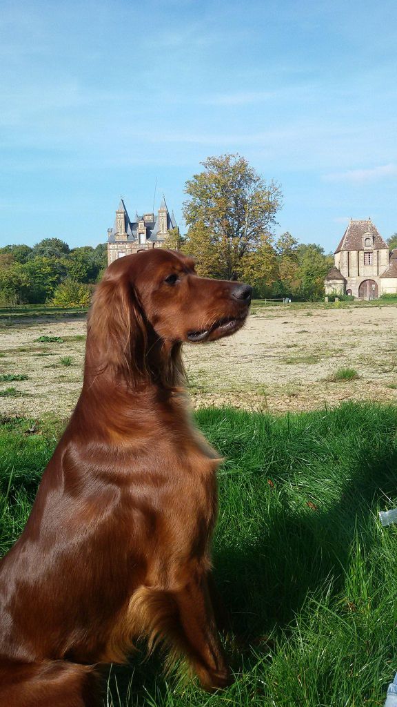 Publication : des solos de rory