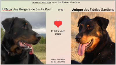 des fideles gardiens