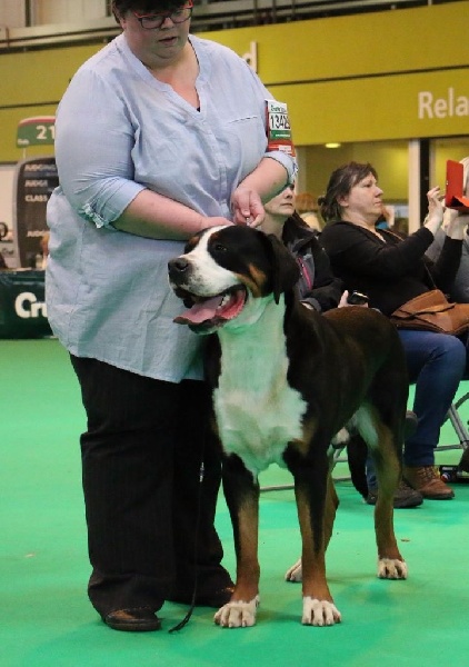 Sandor from swiss star - non classé