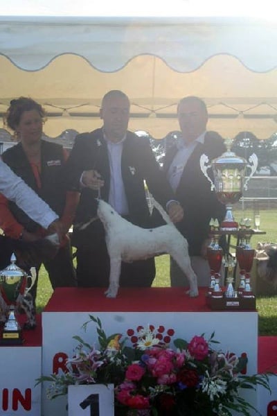 CH. Jumpylily Of sweet lords