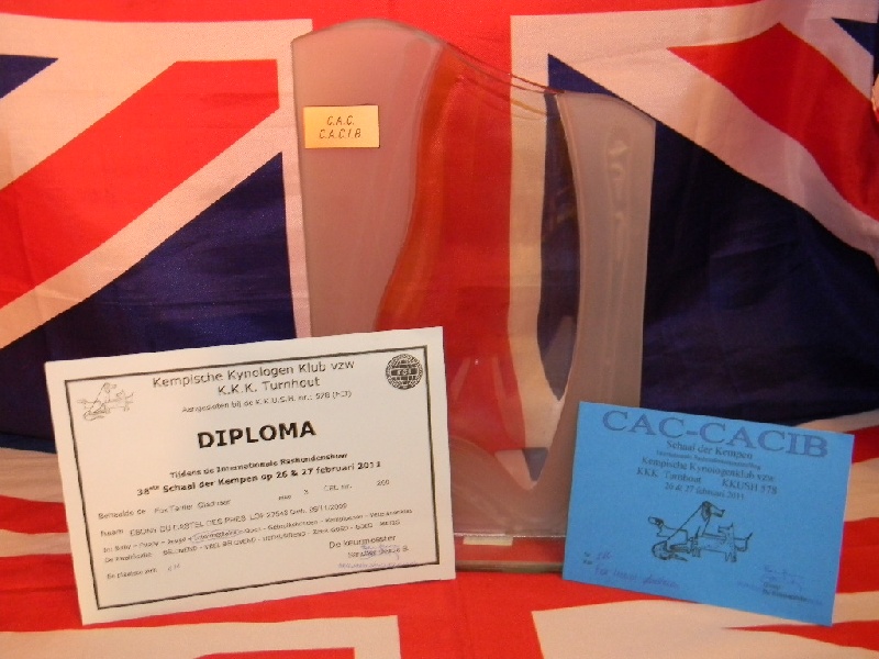 CH. Ebony Du castel des pres - 1 ére Exc CAC-CACIB