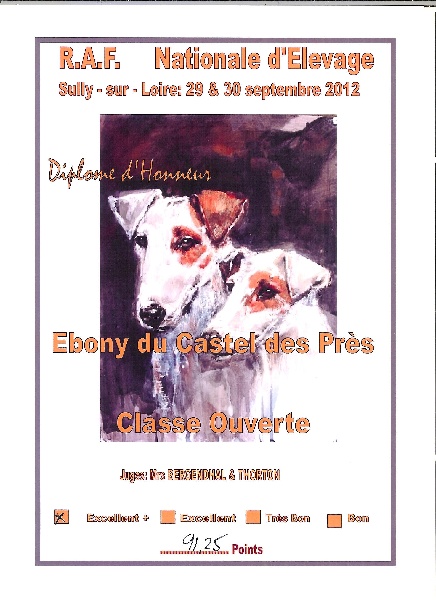 CH. Ebony Du castel des pres - 91,25/100 Exc+ Meilleure femelle classe ouverte Sélectionné dans les 10 meilleur