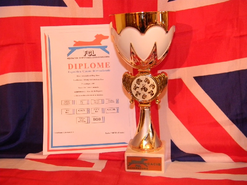 CH. Ebony Du castel des pres - 1 ére Exc CACL-CACIB