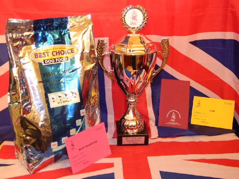 CH. Ebony Du castel des pres - 1 ére Exc-Meilleur Jeune-Meilleur De Race-Best In Show Jeune