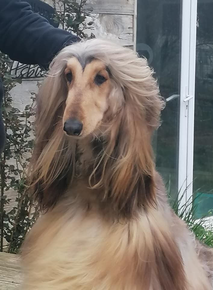 Publication : De hillsbury