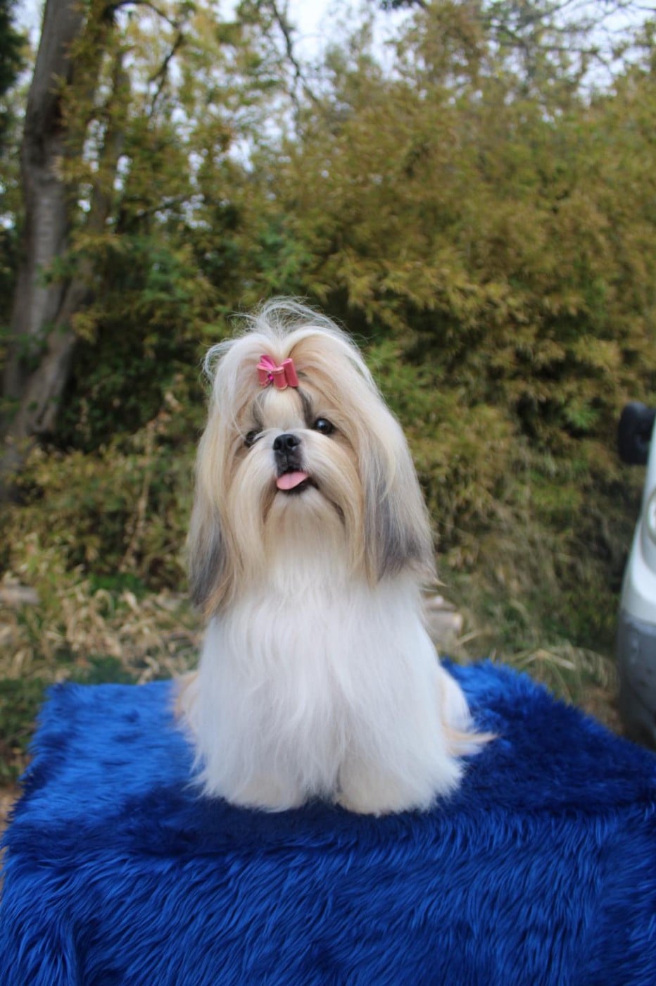 Publication : De hillsbury