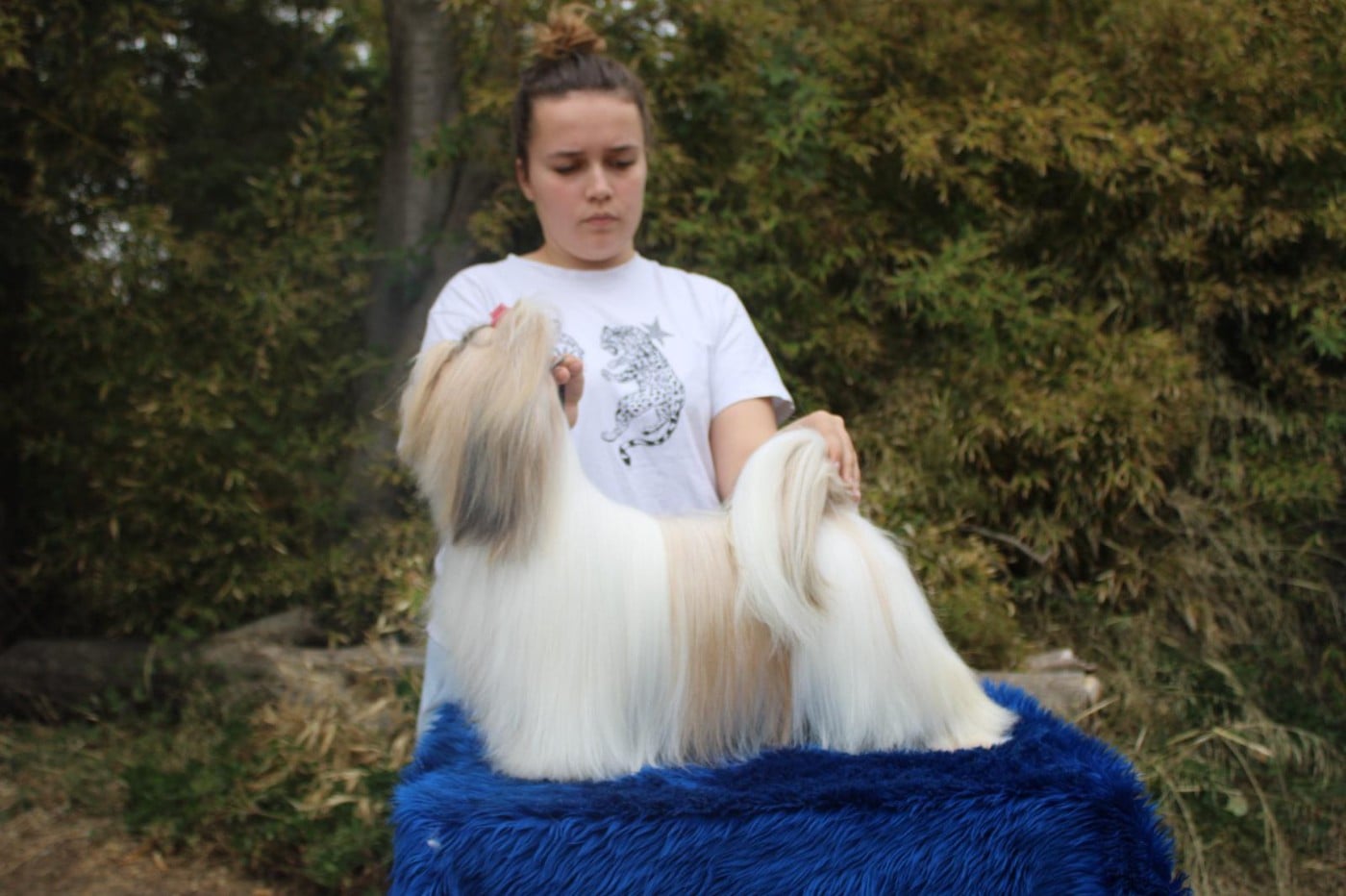 Publication : De hillsbury