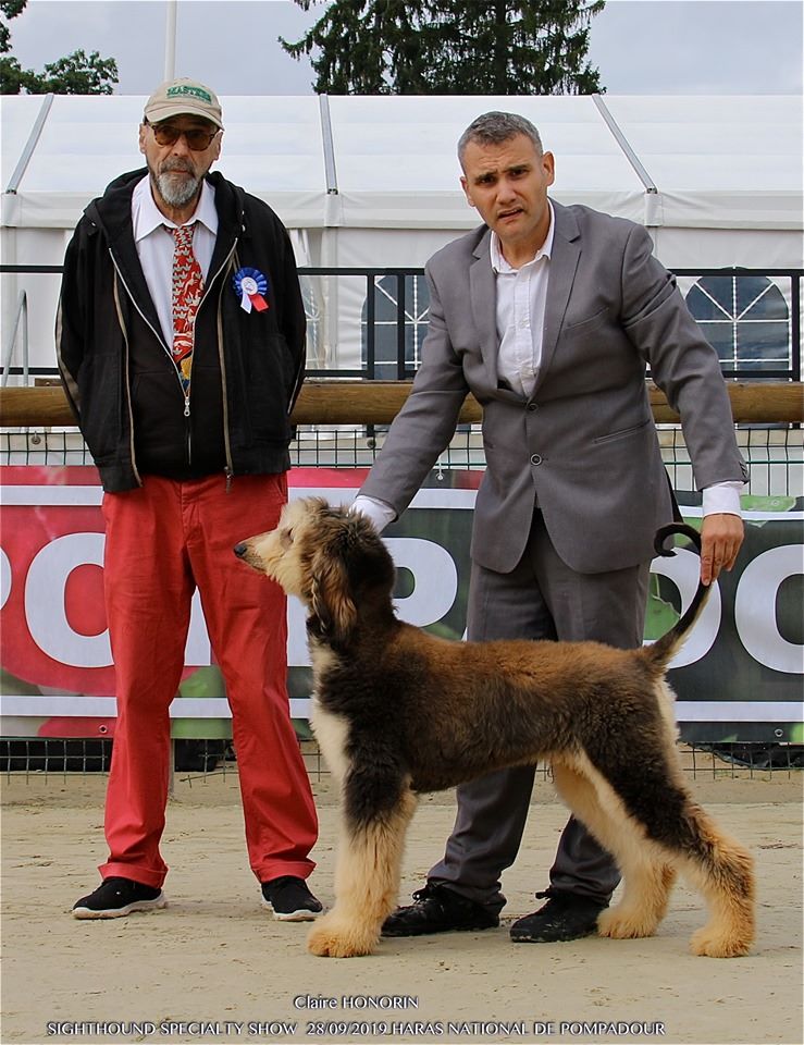 Publication : De hillsbury